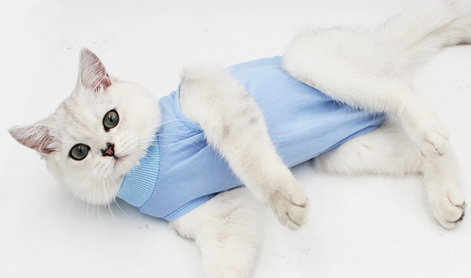 Cat Surgery Recovery Suit Anti Pet Licking Wounds Clothes