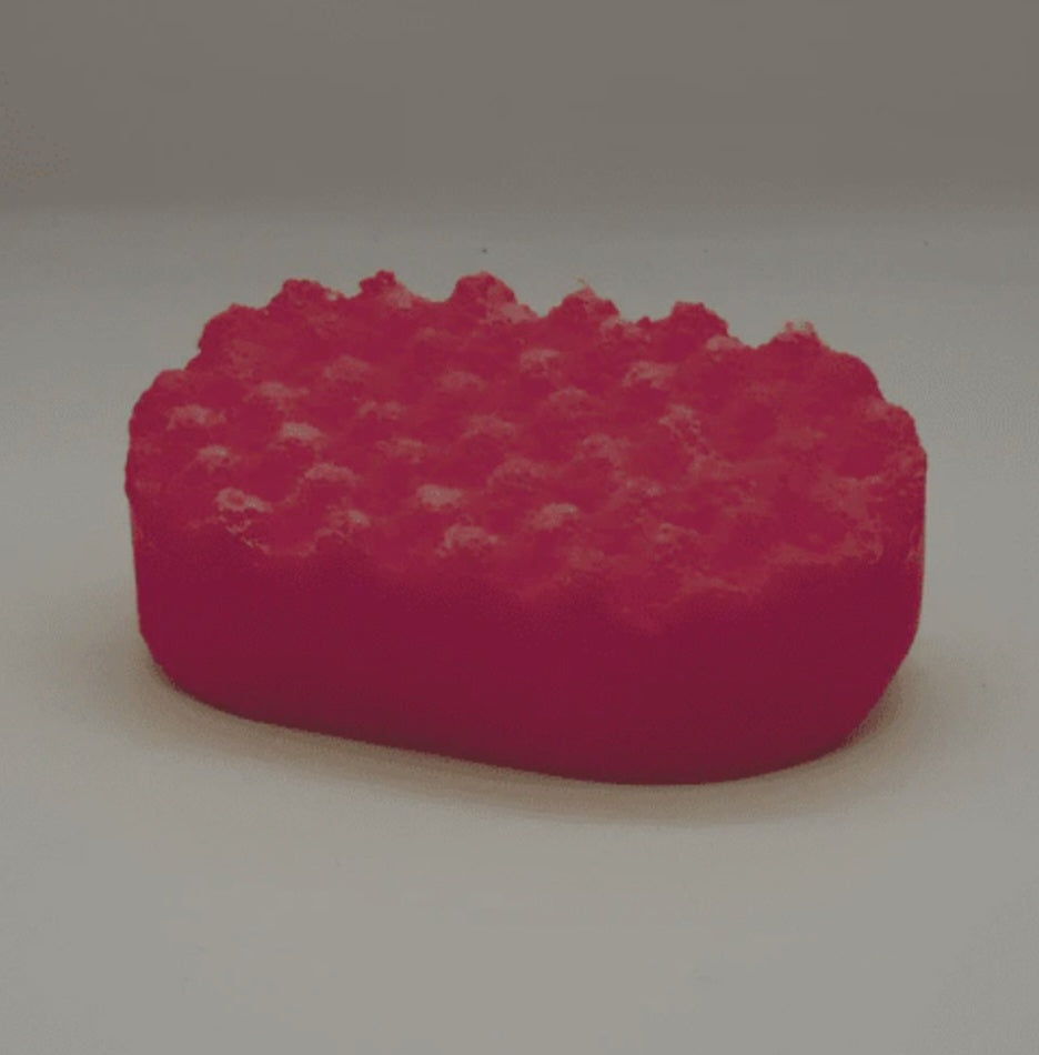 Soap Sponge